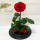 Red Eternal Rose in Flask Lerosh - Lux 33 cm