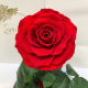 Red Eternal Rose in Flask Lerosh - Lux 33 cm