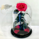 Raspberry Eternal Rose in Flask Lerosh - Lux 33 cm