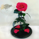 Raspberry Eternal Rose in Flask Lerosh - Lux 33 cm