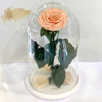Peach Eternal Rose in Flask Lerosh - Lux 33 cm