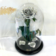 Silver Eternal Rose in Flask Lerosh - Lux 33 cm