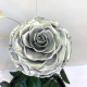 Silver Eternal Rose in Flask Lerosh - Lux 33 cm