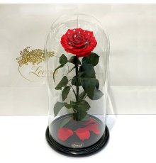 Червона троянда в колбі Lerosh - Elite 40 см