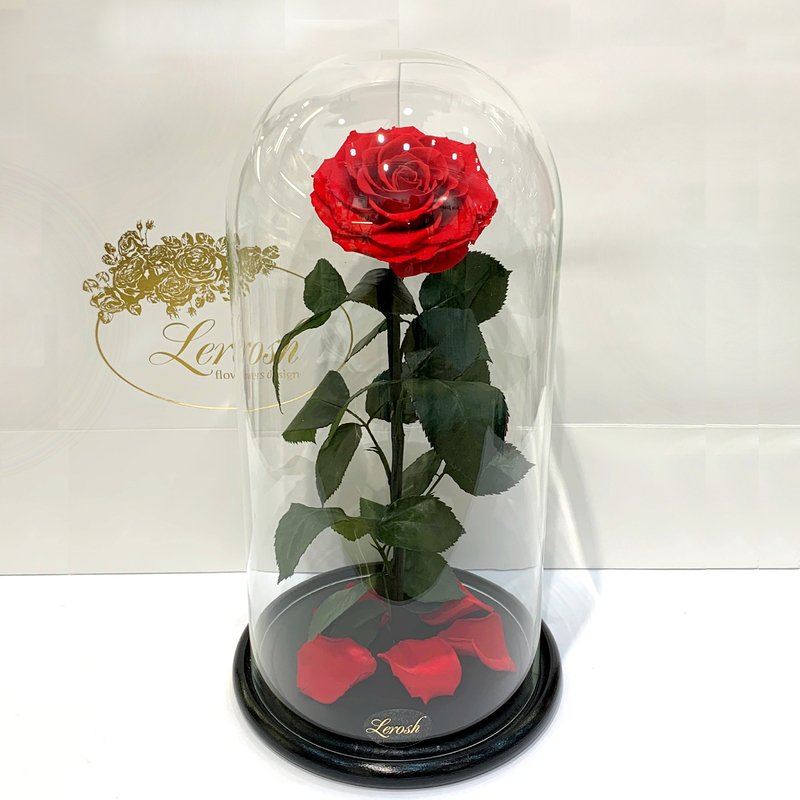 Red Eternal Rose in Flask Lerosh - Elite 40 cm