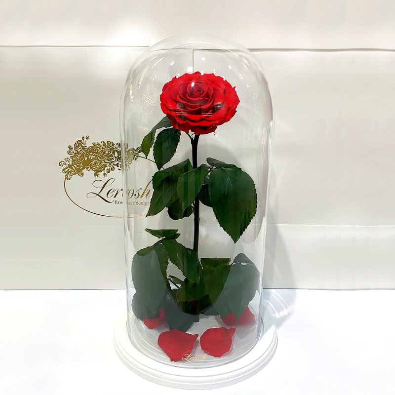 Red rose in a Lerosh flask - Elite 40 cm on a white stand
