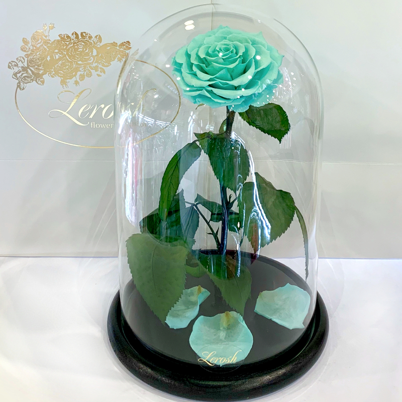 Turquoise Eternal Rose in Flask Lerosh - Lux 33 cm