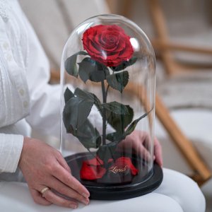 Троянди в колбі Lux 33 см     → 4300 грн