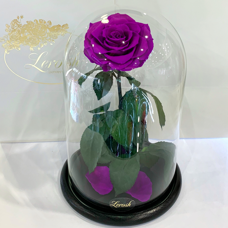 Purple Eternal Rose in Flask Lerosh -  Lux 33 cm