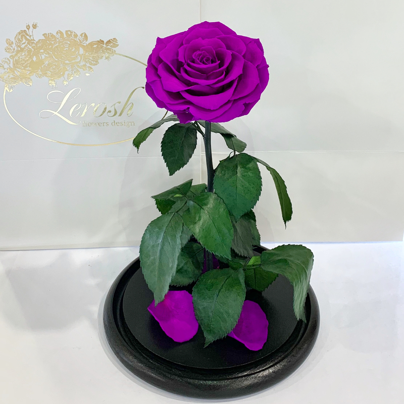 Purple Eternal Rose in Flask Lerosh -  Lux 33 cm