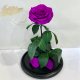 Purple Eternal Rose in Flask Lerosh -  Lux 33 cm