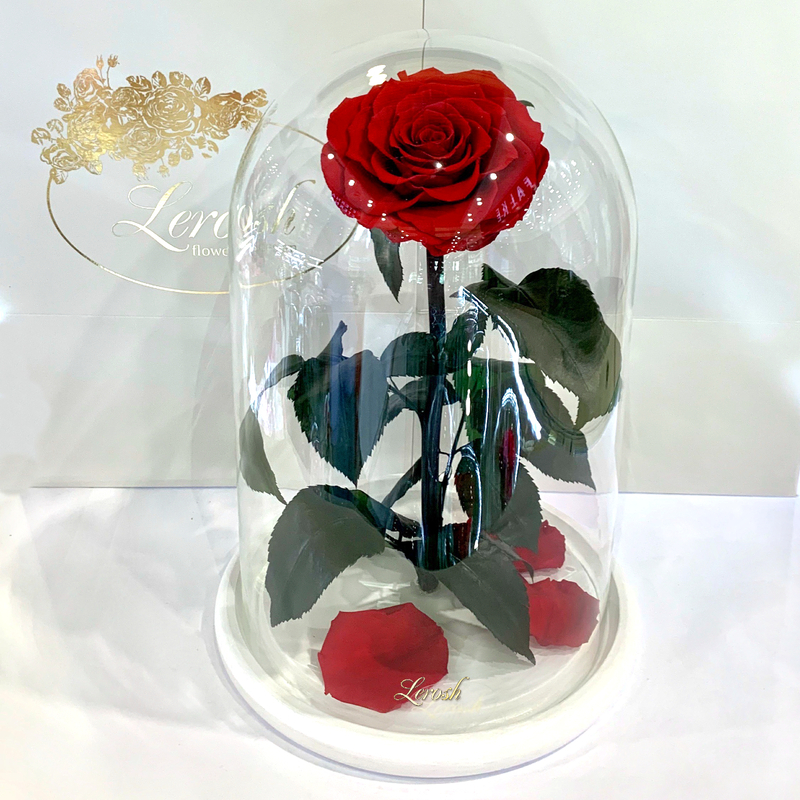 Red Eternal Rose in Flask Lerosh - Lux 33 cm on a white stand
