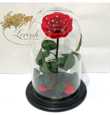 Червона троянда в колбі Lerosh - Lux 33 см