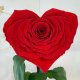 Red Eternal Rose in Heart Flask Lerosh - Lux 33 cm
