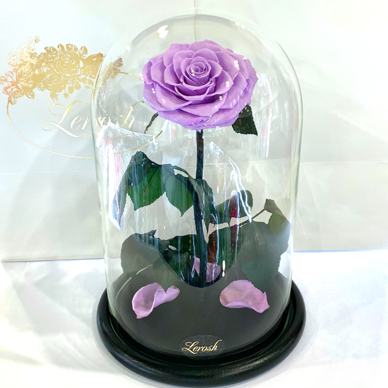 Lilac Eternal Rose in Flask Lerosh - Lux 33 cm