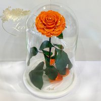 Помаранчева троянда в колбі Lerosh - Lux 33 см