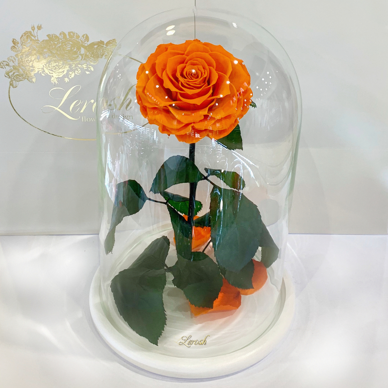 Оранжевая роза в колбе Lerosh - Lux 33 см