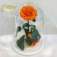 Orange Eternal Rose in Flask Lerosh - Lux 33 cm