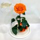 Orange Eternal Rose in Flask Lerosh - Lux 33 cm