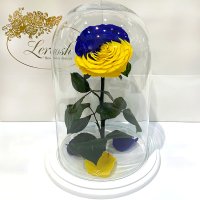 Троянда в колбі "Прапор України" Lerosh - Lux 33 см на білій підставці