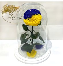Троянда в колбі "Прапор України" Lerosh - Lux 33 см на білій підставці