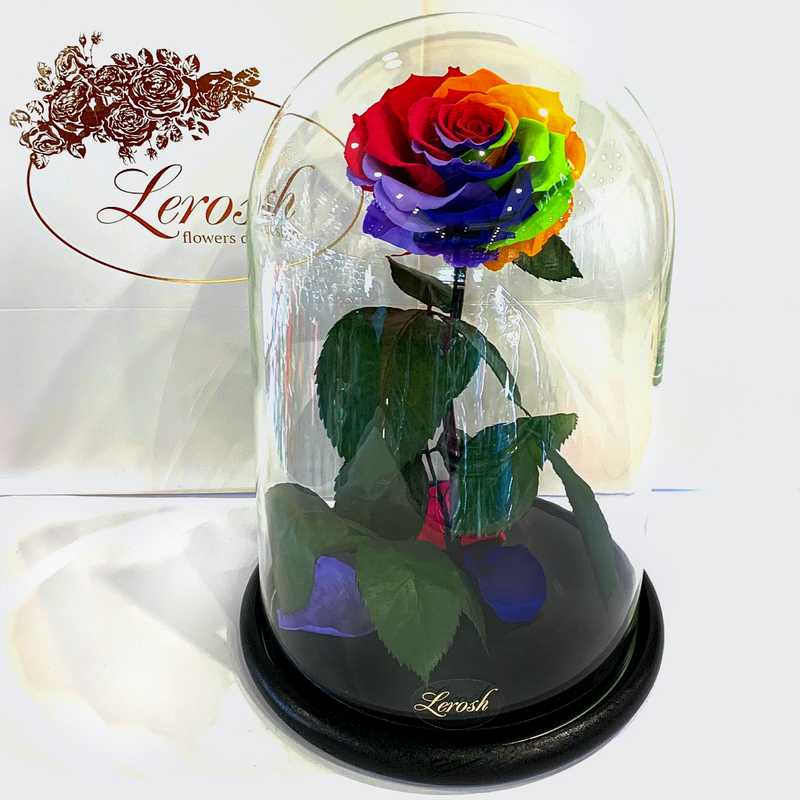 Bright Rainbow Eternal Rose in Flask Lerosh - Lux 33 cm