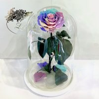 Ніжна Райдужна троянда в колбі Lerosh - Lux 33 см