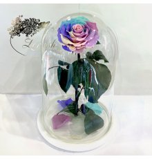 Ніжна Райдужна троянда в колбі Lerosh - Lux 33 см