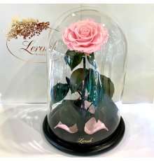 Рожева троянда в колбі Lerosh - Lux 33 см