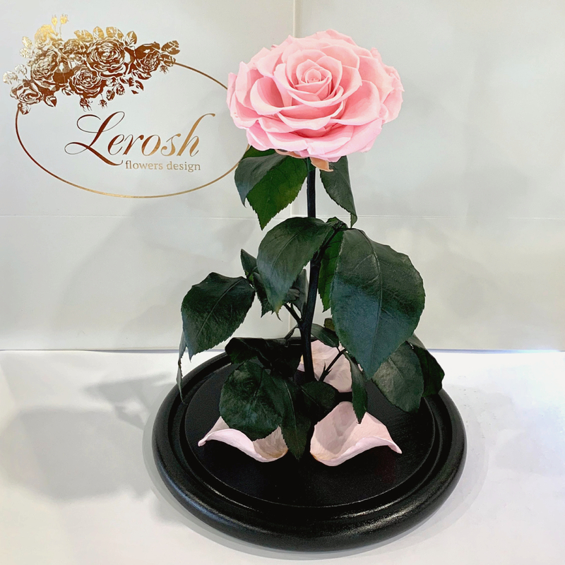 Pink Eternal Rose in Flask Lerosh - Lux 33 cm
