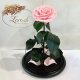 Pink Eternal Rose in Flask Lerosh - Lux 33 cm