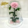 Pink rose in Lerosh flask - Lux 33 cm on a white stand