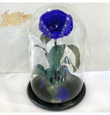 Синя троянда в колбі Lerosh - Lux 33 см