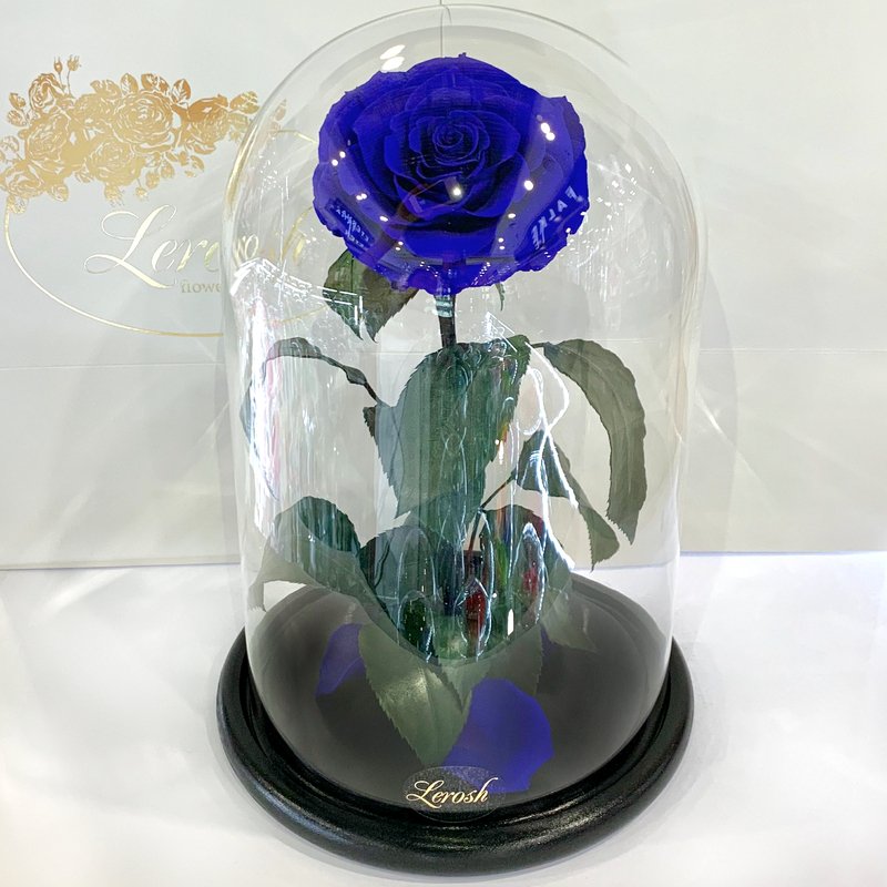 Dark Blue Eternal Rose in Flask Lerosh - Lux 33 cm