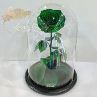 Зелена троянда в колбі Lerosh - Lux 33 см