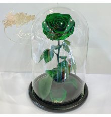 Зелена троянда в колбі Lerosh - Lux 33 см