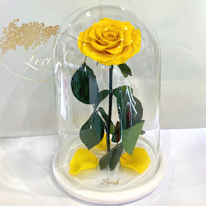 Yellow Eternal Rose in Flask Lerosh - Lux 33 cm