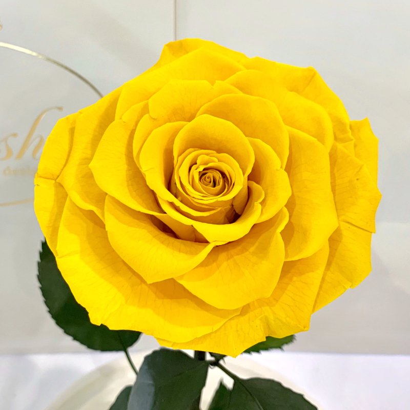 Yellow Eternal Rose in Flask Lerosh - Lux 33 cm