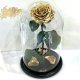 Gold Eternal Rose in Flask Lerosh - Lux 33 cm