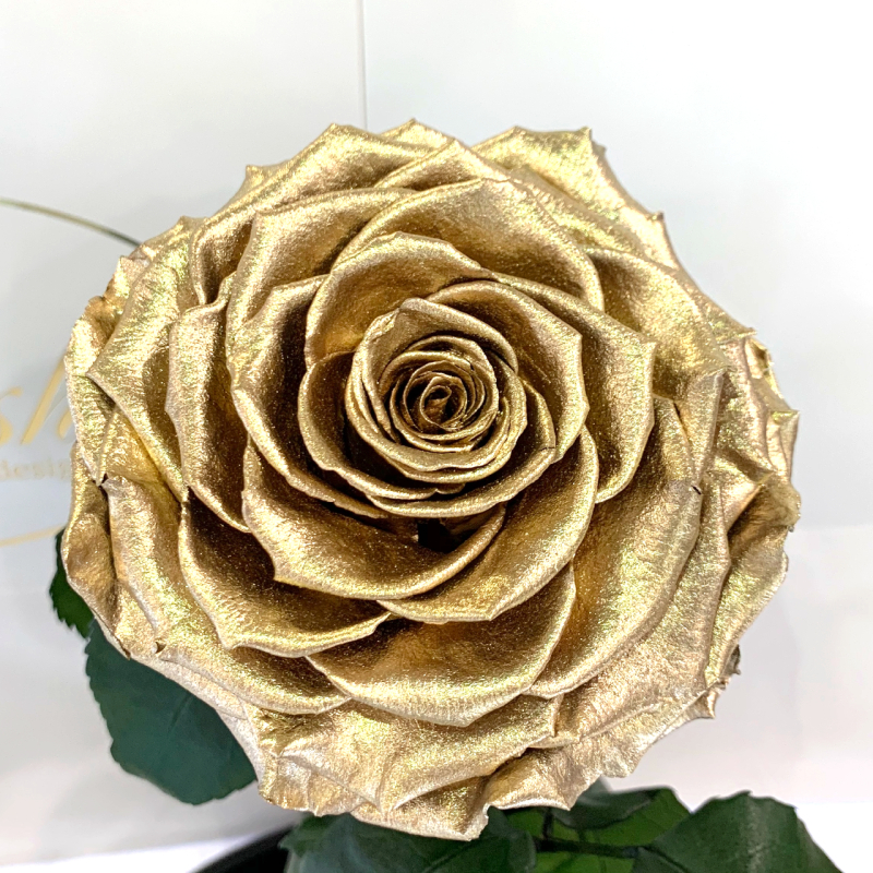 Gold Eternal Rose in Flask Lerosh - Lux 33 cm