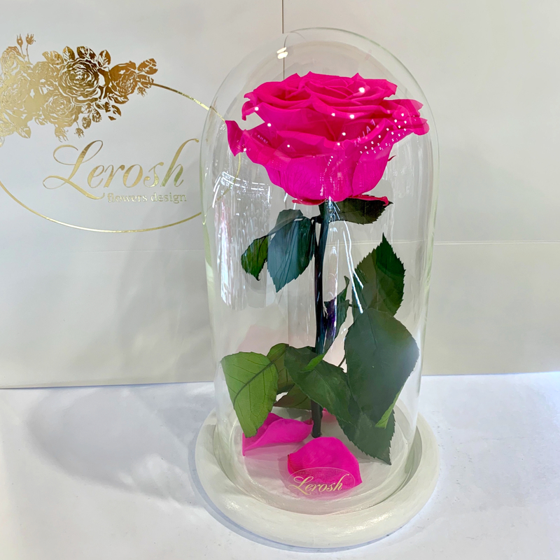 Hot Pink Eternal Rose in Flask Lerosh - Premium 27 cm on a white stand