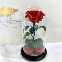 Red Eternal Rose in Flask Lerosh - Premium 27 cm