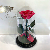 Малинова троянда в колбі Lerosh - Premium 27 см