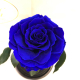 Dark Blue Eternal Rose in Flask Lerosh - Premium 27 cm