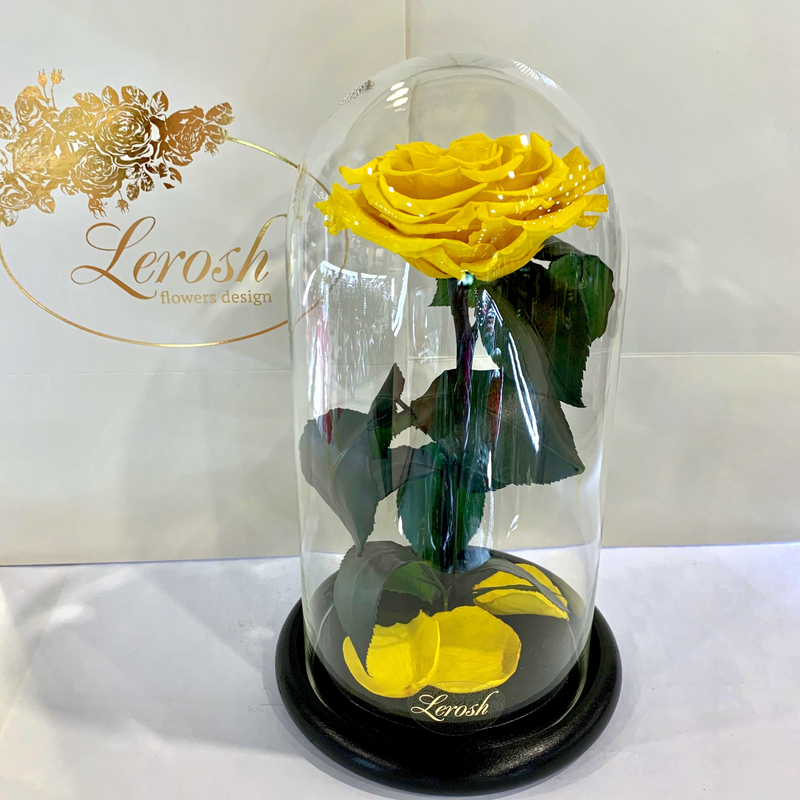 Жовта троянда в колбі Lerosh - Premium 27 см