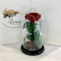 Темно-Червона троянда в колбі Lerosh - Premium 27 см