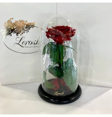 Темно-Червона троянда в колбі Lerosh - Premium 27 см