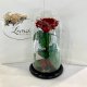 Dark red Rose in Flask Lerosh - Premium 27 cm
