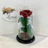 Темно-Червона троянда в колбі Lerosh - Premium 27 см