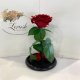 Dark red Rose in Flask Lerosh - Premium 27 cm